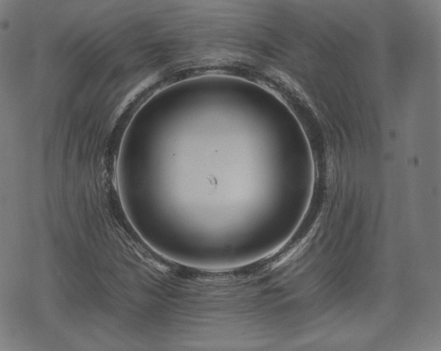 X0000075331210200609151437