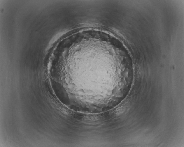 X0000075331215200609151437