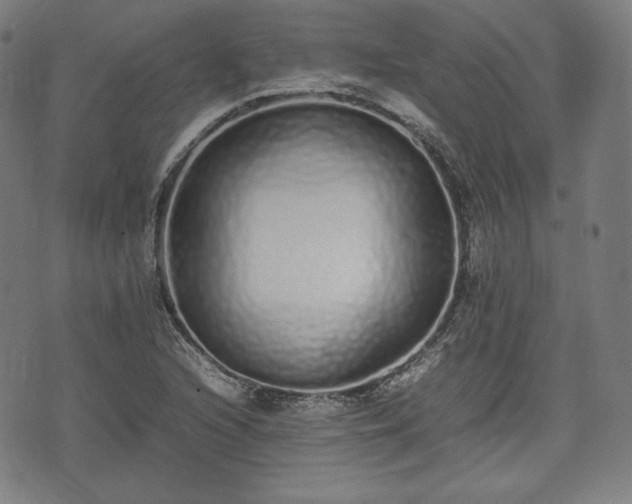 X0000075331216200609151437
