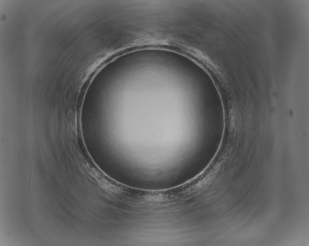 X0000075331220200609151438
