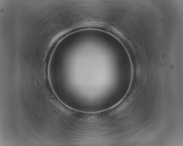 X0000075331222200609151438