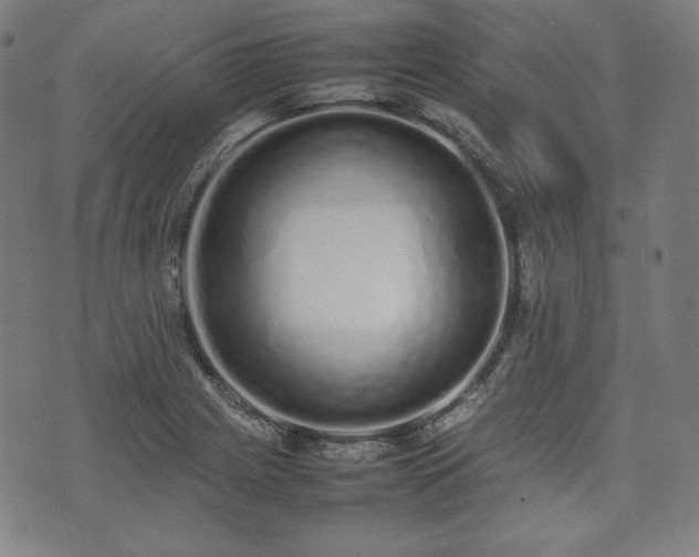X0000075331225200609151438