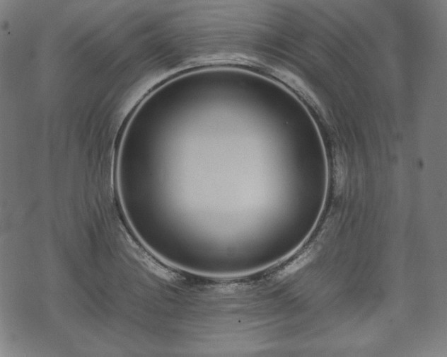 X0000075331228200609151438