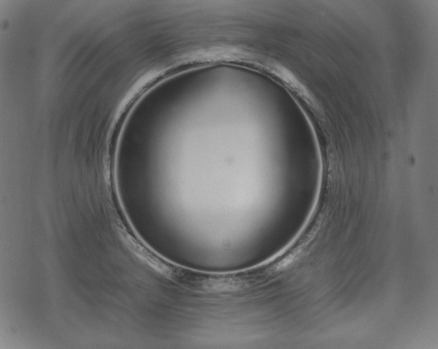 X0000075331232200609151438