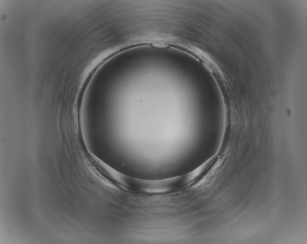 X0000075331238200609151438