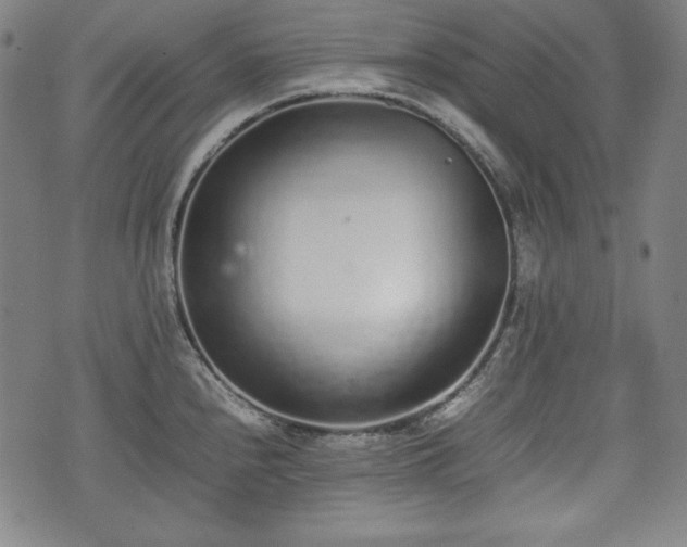 X0000075331240200609151438
