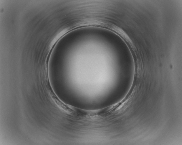 X0000075331242200609151438