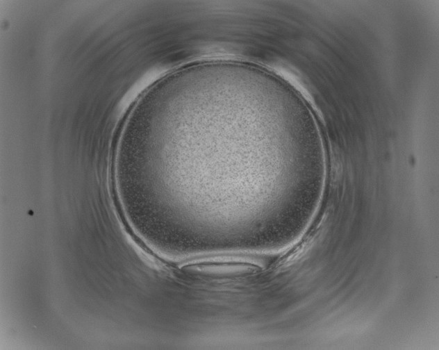 X0000075331245200609151438