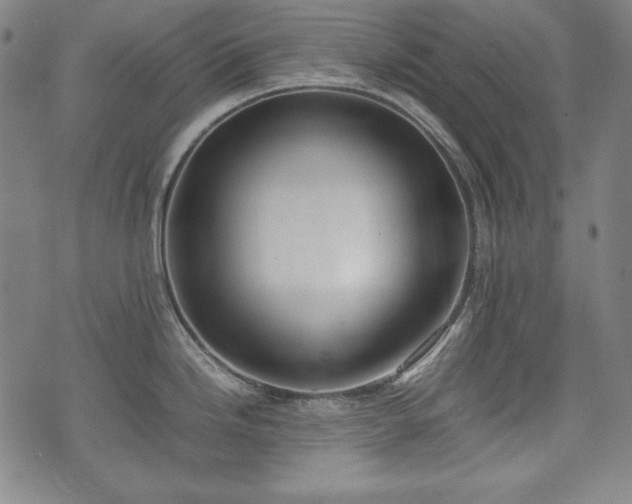 X0000075331246200609151438