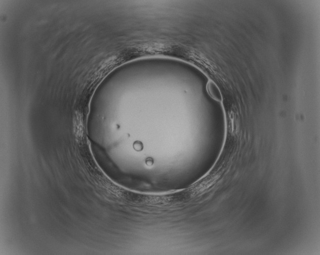 X0000075331251200609151437