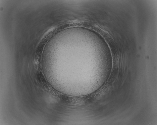 X0000075331254200609151437