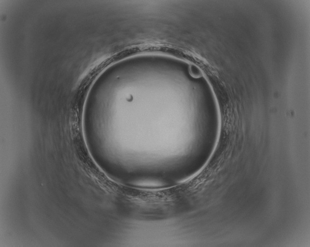 X0000075331255200609151437