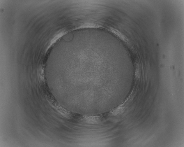 X0000075331258200609151437