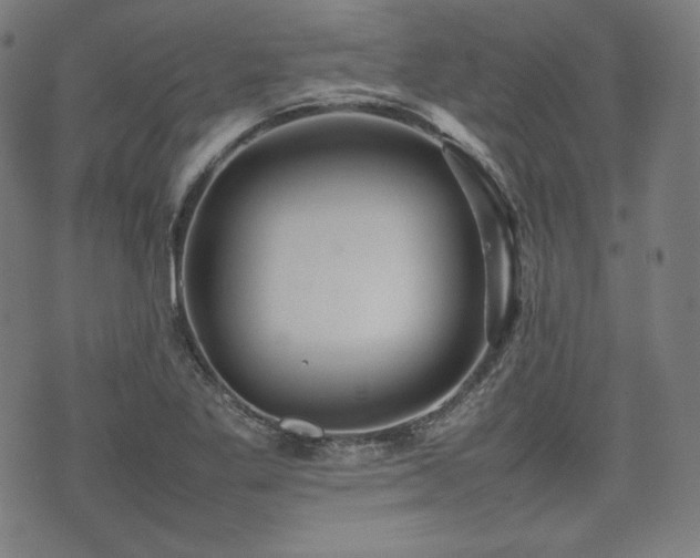 X0000075331269200609151437