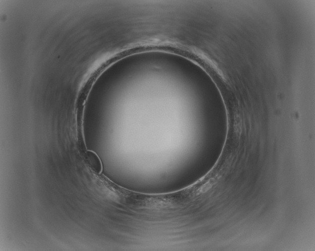 X0000075331270200609151437