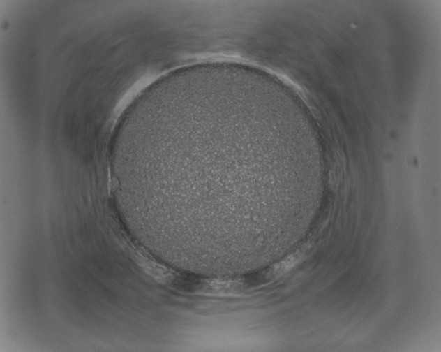 X0000075331271200609151437