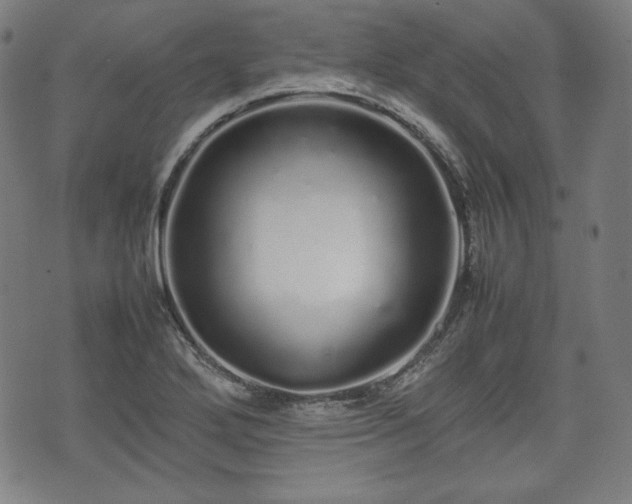 X0000075331272200609151437