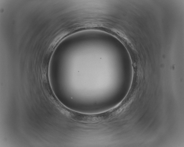 X0000075331273200609151437