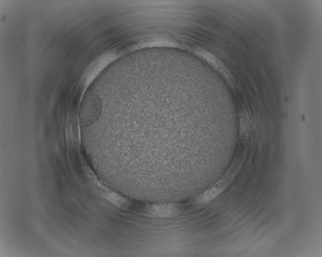 X0000075331274200609151437