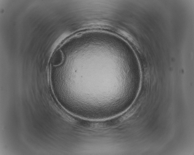 X0000075331275200609151437