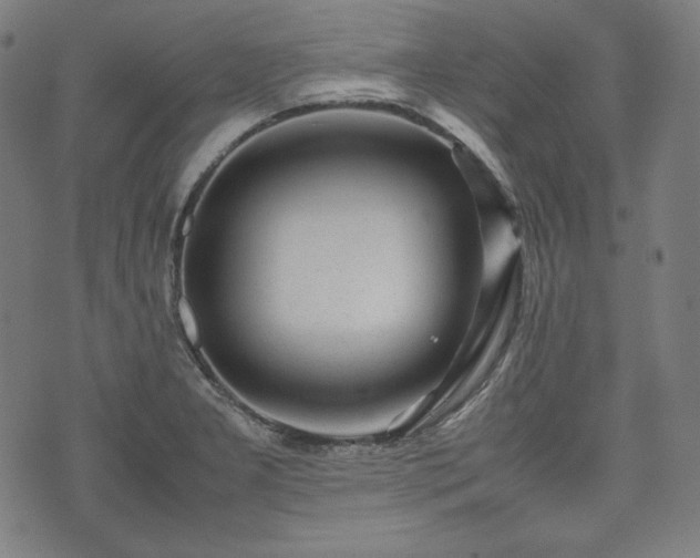 X0000075331277200609151437