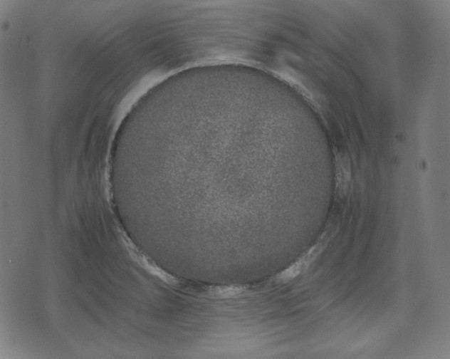 X0000075331278200609151437