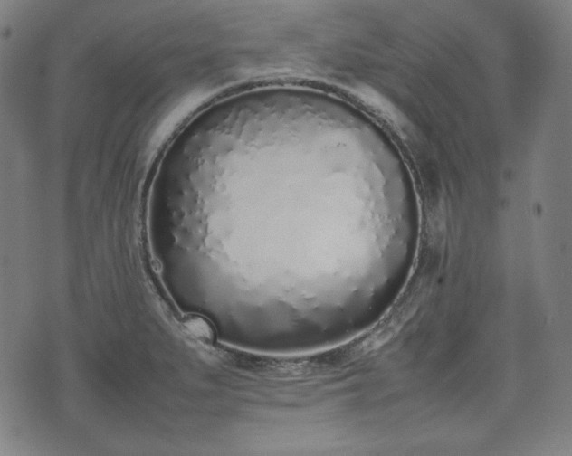 X0000075331279200609151437