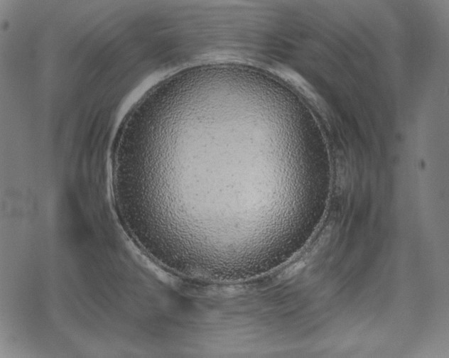 X0000075331286200609151437