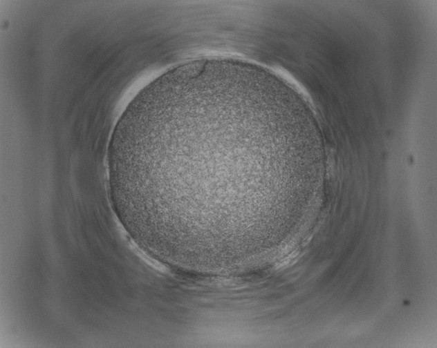 X0000075331287200609151437