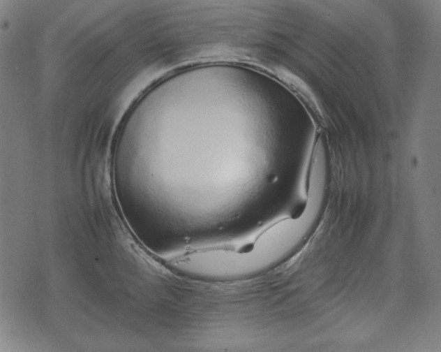 X0000075331288200609151437