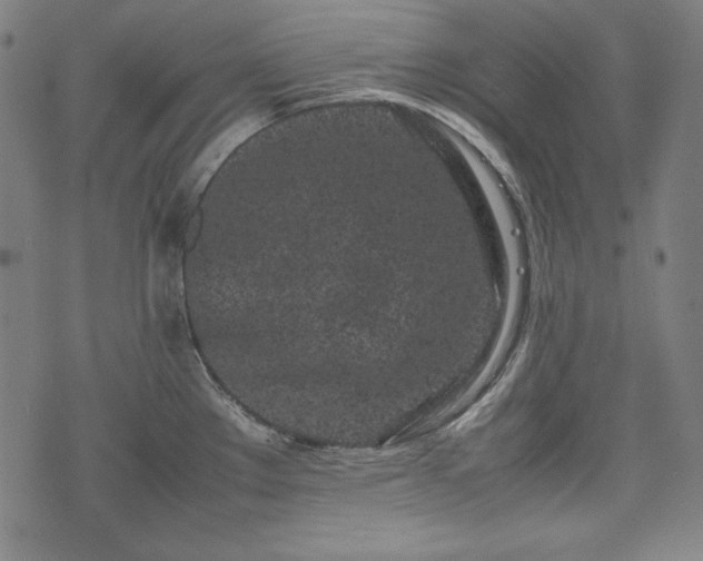 X0000075331289200609151437