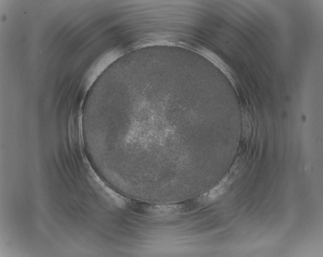 X0000075331290200609151437