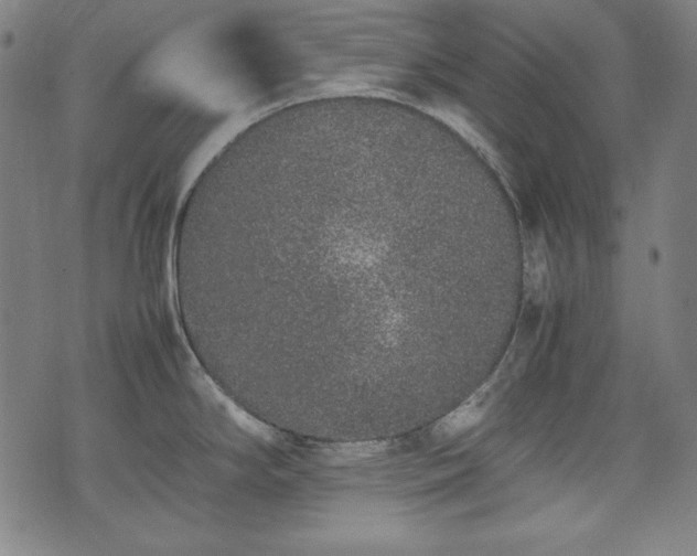 X0000075331294200609151436