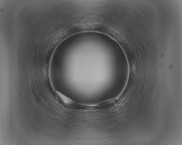 X0000075331300200609151436