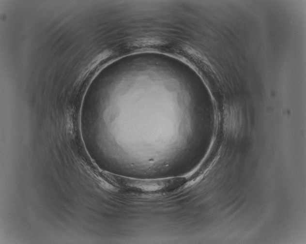 X0000075331305200609151436