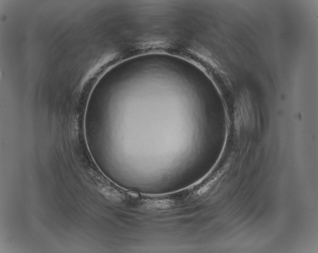 X0000075331309200609151436