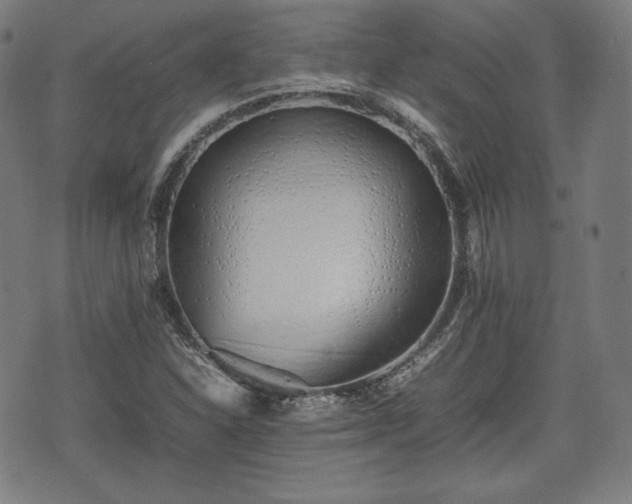 X0000075331310200609151436