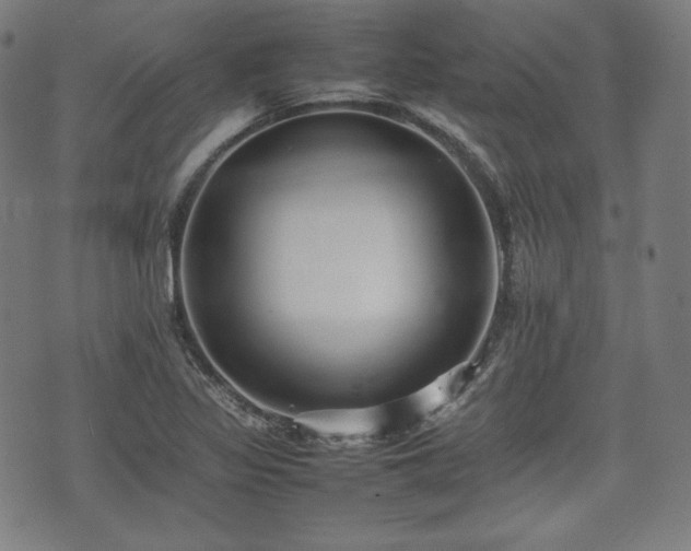 X0000075331317200609151436