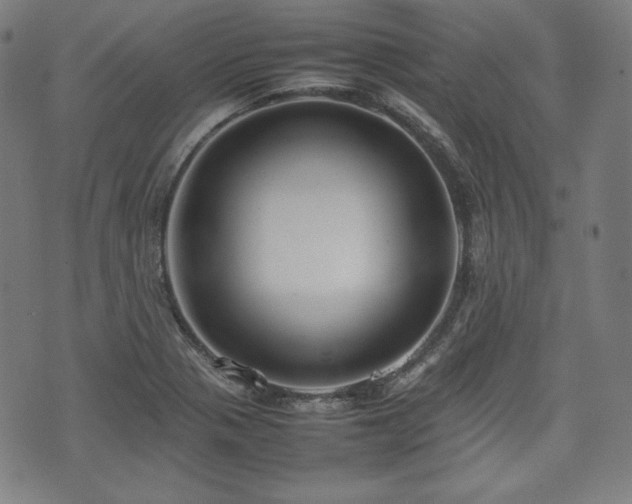 X0000075331321200609151436