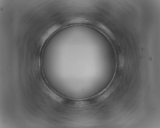 X0000075331322200609151436