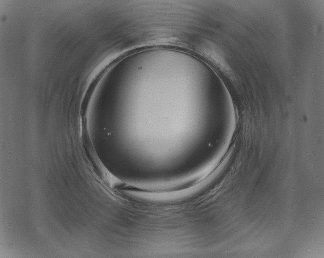 X0000075331324200609151436