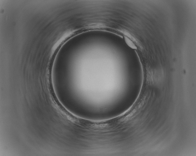 X0000075331325200609151436