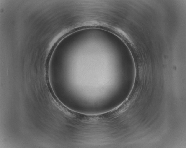 X0000075331326200609151436