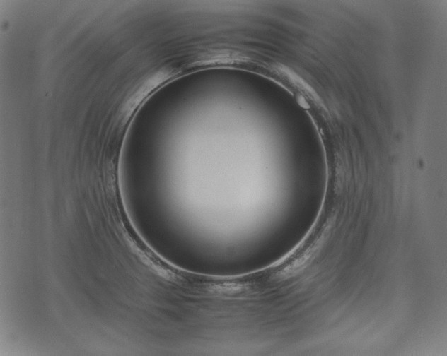 X0000075331329200609151436