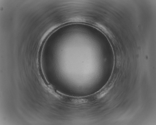 X0000075331331200609151436
