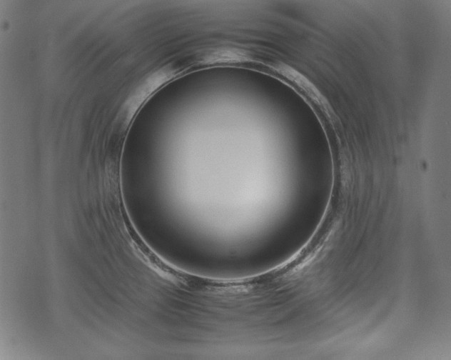 X0000075331337200609151436