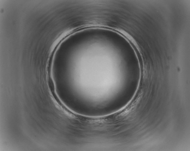 X0000075331341200609151436