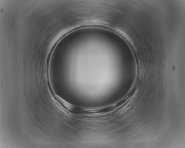 X0000075331342200609151436