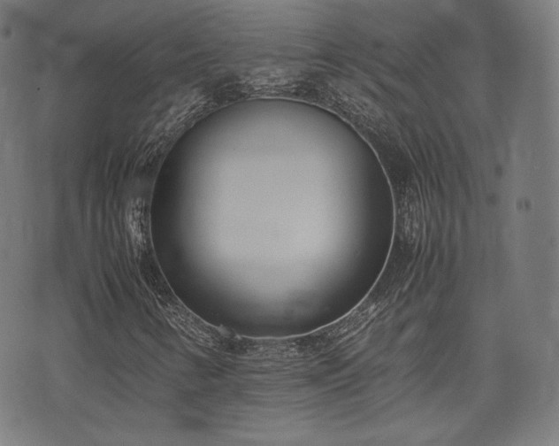 X0000075331346200609151436