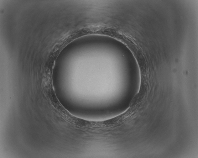 X0000075331349200609151436